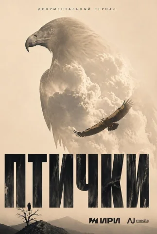 Птички Документальный
