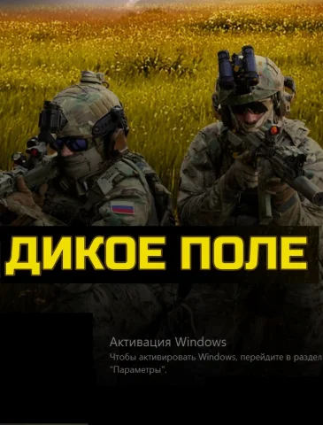 Дикое поле